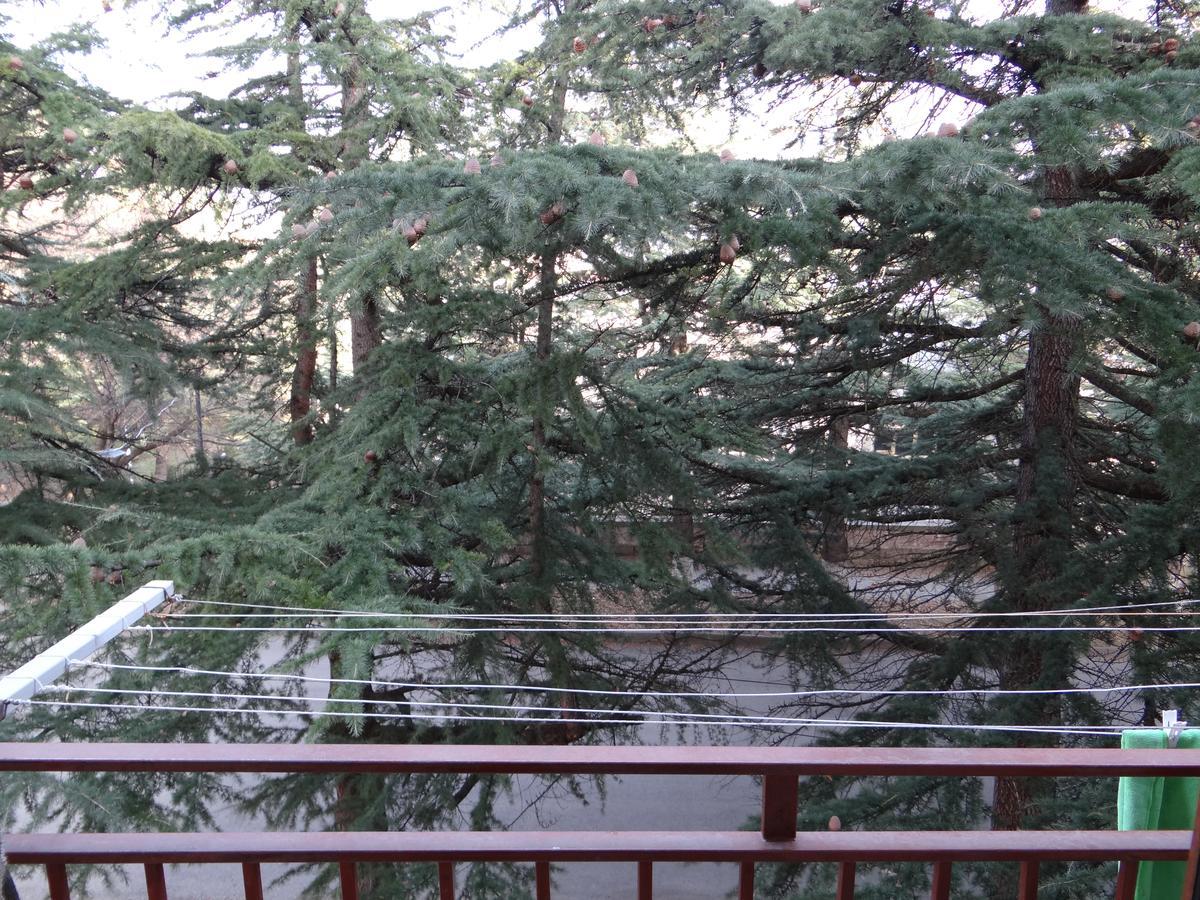 Dilijan Apartment Екстериор снимка